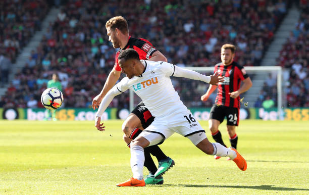 這些純粹依 這些純粹依