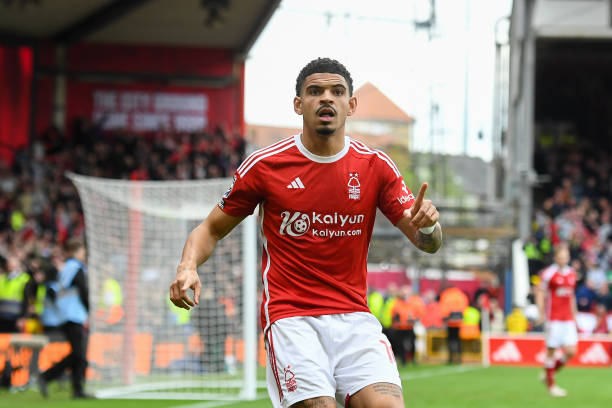 表现稳定的 表现稳定的