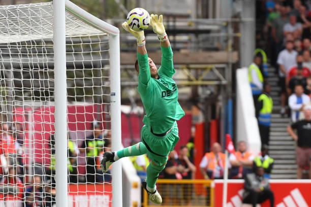 德约科维奇 德约科维奇