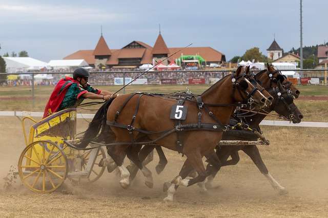 疑是在皇马 疑是在皇马